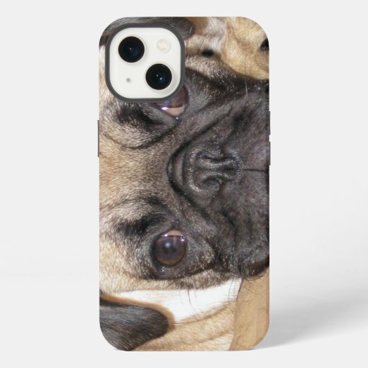 かわいいパグの子犬 iPhoneケース (裏面)