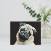 かわいいパグはがき ポストカード (スタンド正面)