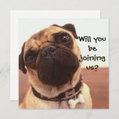 かわいいパグドッグパーソナライズされたパーティー招待状 招待状 (正面/裏面)