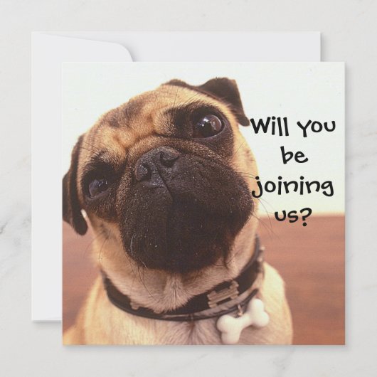 かわいいパグドッグパーソナライズされたパーティー招待状 招待状 (正面)