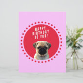 かわいいパグパピードッグハッピーバースデー赤いドットピンク レターヘッド (スタンド正面)