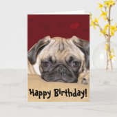 かわいいパグパピー誕生日の願い カード (黄色い花)