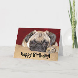 かわいいパグパピー誕生日の願い カード