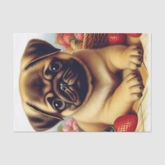 かわいいパグヴィンテージ絵画ズ 薄葉紙 (正面)