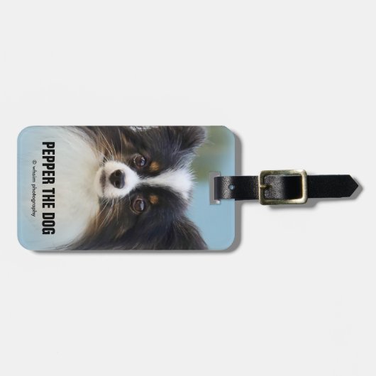 かわいいパピヨンスパニエル犬ドッグアットザ波止場 ラゲッジタグ (正面横)