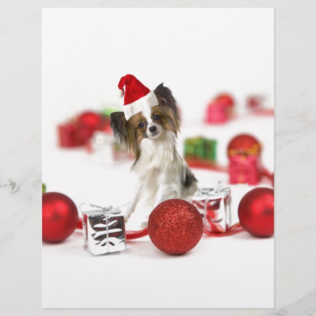 かわいいパピヨン犬のクリスマスサンタ帽子 (正面)