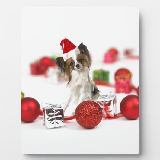 かわいいパピヨン犬のクリスマスサンタ帽子 フォトプラーク (正面)