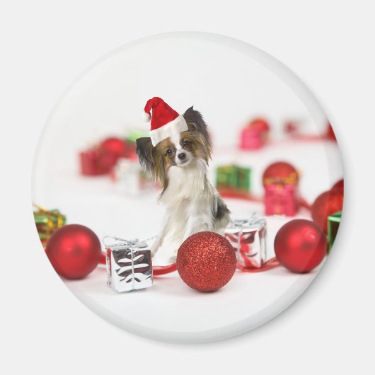 かわいいパピヨン犬のクリスマスサンタ帽子 マグネット (正面)