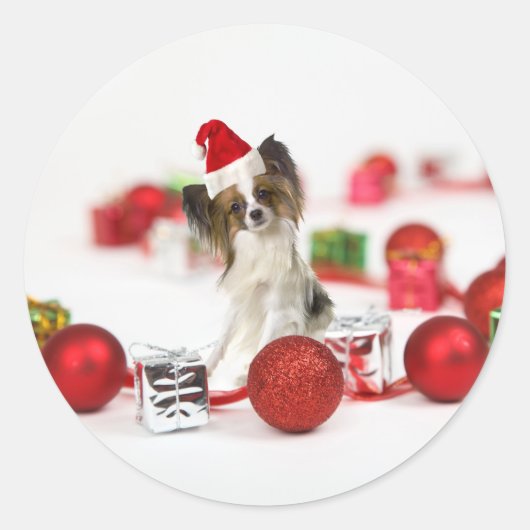 かわいいパピヨン犬のクリスマスサンタ帽子 ラウンドシール (正面)