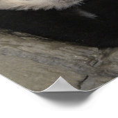 かわいいパンダのポスター。 ポスター (角)