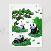 かわいいパンダの漫画 ポストカード (正面/裏面)