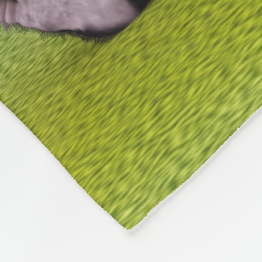 かわいいパンダベアかわいい動物愛好家完璧なギフト フリースブランケット (角)