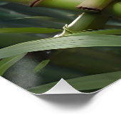 かわいいパンダ食べの竹 ポスター (コーナー)