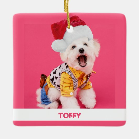 かわいいパーソナライズされたクリスマスペット セラミックオーナメント (正面)