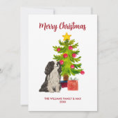 かわいいパーソナライズされたスパニエル犬ドッグクリスマス シーズンカード (正面)