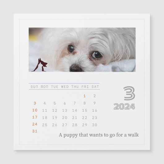 かわいいパーソナライズされたペット好き2024フォトカレンダー (正面)