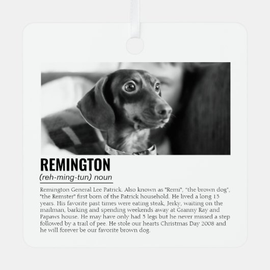 かわいいパーソナライズされたペット メタルオーナメント (正面)