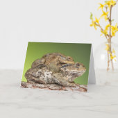 かわいいヒキガエル二人 カード (黄色い花)
