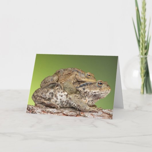 かわいいヒキガエル二人 カード (正面)