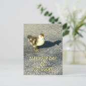 かわいいヒナガモの誕生日野生動物写真 ポストカード (スタンド正面)