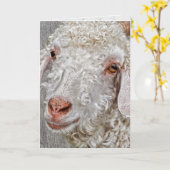 かわいいビリーヤギの誕生日 カード (黄色い花)