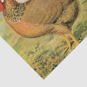 かわいいビンテージのニワトリとめんどりのパーティー 薄葉紙 (詳細)