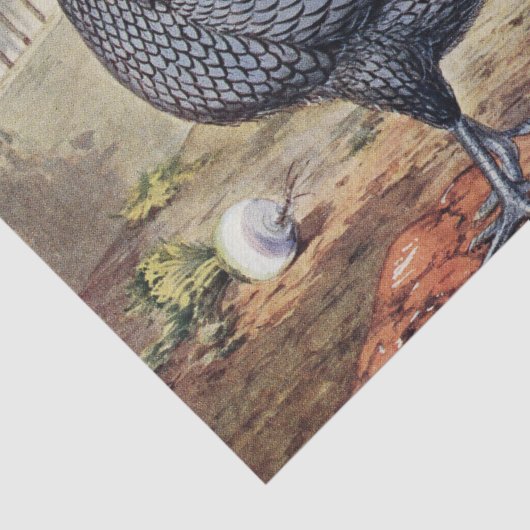 かわいいビンテージのニワトリとめんどりのパーティー 薄葉紙 (詳細)