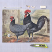 かわいいビンテージのニワトリとめんどりのパーティー 薄葉紙 (クラフト)
