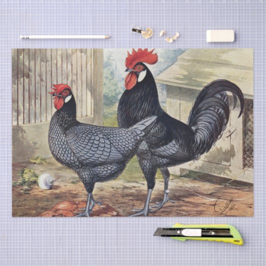 かわいいビンテージのニワトリとめんどりのパーティー 薄葉紙 (クラフト)