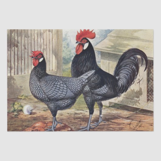 かわいいビンテージのニワトリとめんどりのパーティー 薄葉紙 (正面)