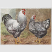 かわいいビンテージのニワトリとめんどりのパーティ 薄葉紙 (正面)