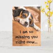 かわいいビーグルパピー恋しく思ズYou引用文 カード (黄色い花)