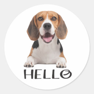 かわいいビーグルパピー犬のこんにちは会いたい友情 ラウンドシール