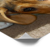 かわいいビーグル人形のポスター ポスター (角)