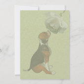 かわいいビーグル子犬 白いバラ 動物パーティー 招待状 (裏面)