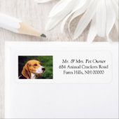 かわいいビーグル差出人住所メーリングラベルシール ラベル (インサイチュ)