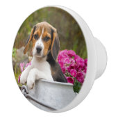 かわいいビーグル犬の子犬のミルクの中 – 装飾的 セラミックノブ (右)