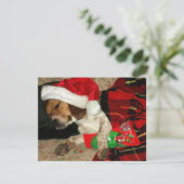 かわいいビーグル犬の子犬の詮策好きな身に着けているサンタの帽子 シーズンカード (スタンド正面)