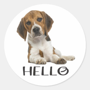 かわいいビーグル犬の子犬 こんにちは あなたを想って 友情 ラウンドシール