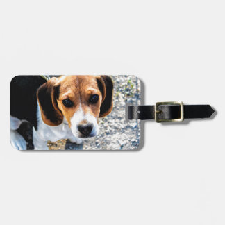 かわいいビーグル犬 ラゲッジタグ