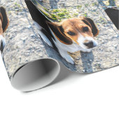 かわいいビーグル犬 ラッピングペーパー (ロールコーナー)