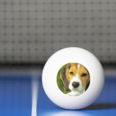 かわいいビーグル犬 卓球ボール (ネット)