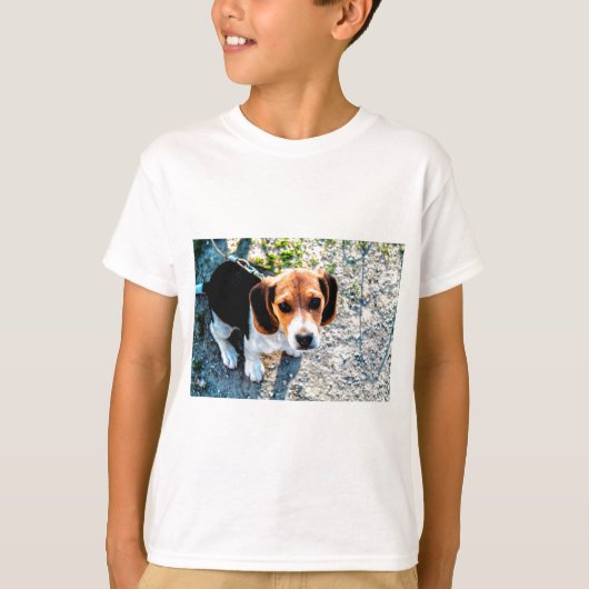 かわいいビーグル犬 Tシャツ (正面)