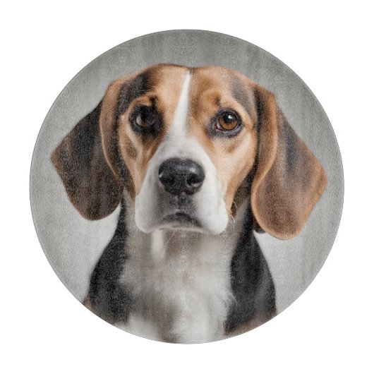 かわいいビーグル カッティングボード (正面)