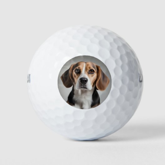 かわいいビーグル ゴルフボール (正面)