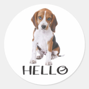 かわいいビーグル+子犬+愛好家+へ+こんにちは+想ってるよ ラウンドシール