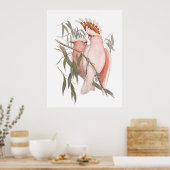 かわいいビーチピンクのコカトスヴィンテージデコールポスター ポスター (キッチン)