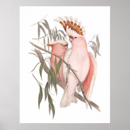 かわいいビーチピンクのコカトスヴィンテージデコールポスター ポスター