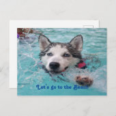 かわいいビーチ犬の挨拶 ポストカード (正面/裏面)