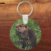 かわいいビーバー キーホルダー (正面)